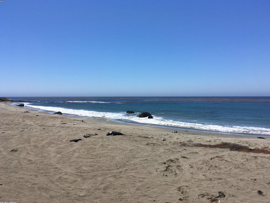 ការណែនាំអំពីហ្គេមត្រីសមុទ្រ