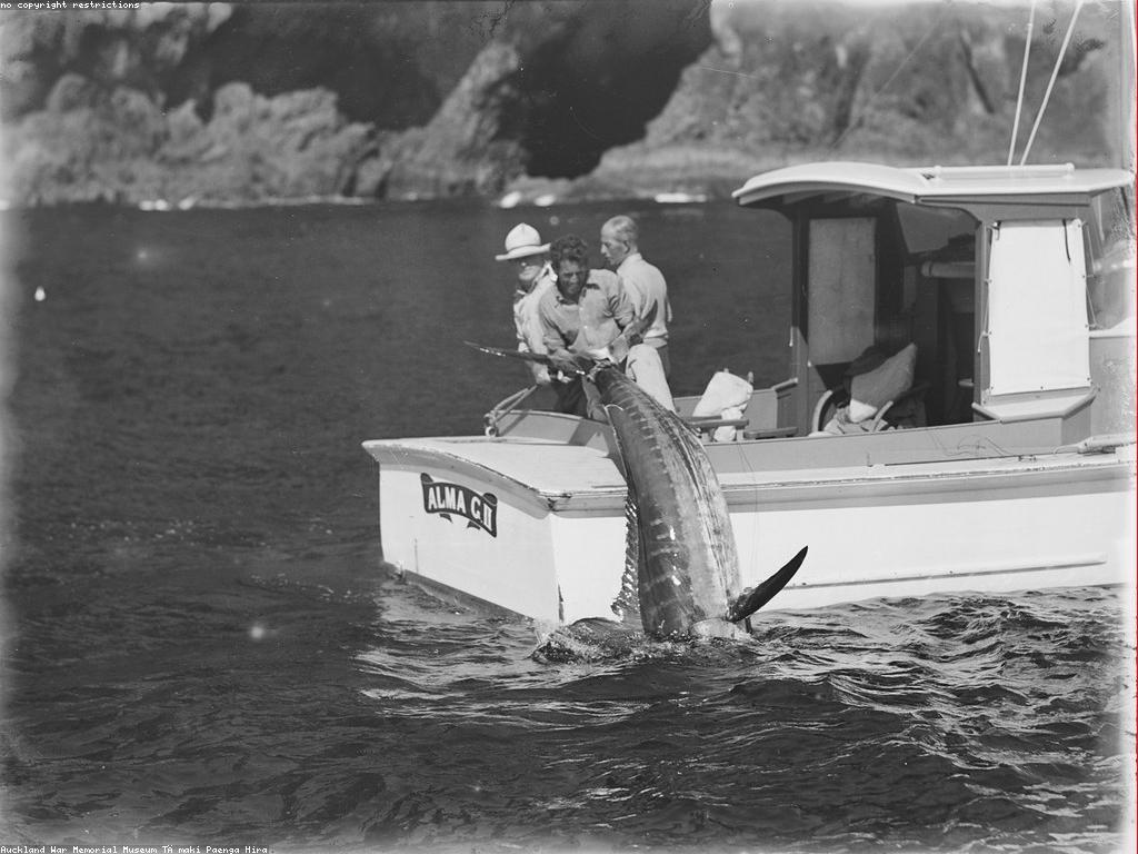 យុទ្ធសាស្ត្រទាំងអស់សម្រាប់ហ្គេមត្រីសមុទ្រ