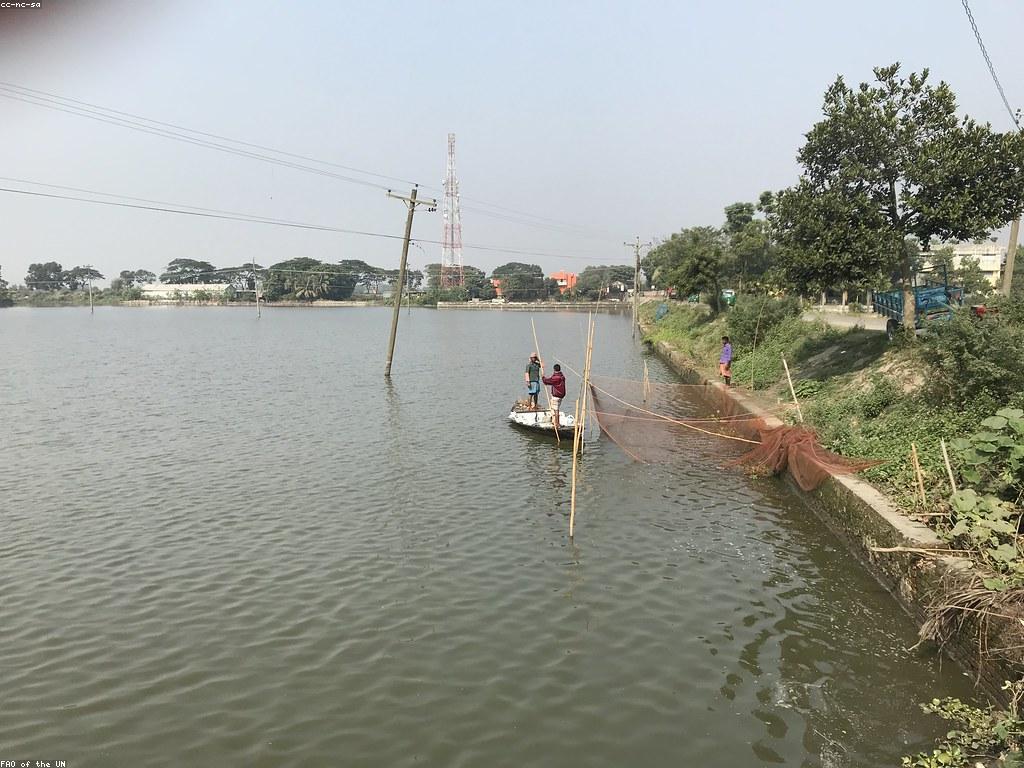 យុទ្ធសាស្ត្របាញ់ត្រីសម្រាប់អ្នកបំប៉នថ្មី