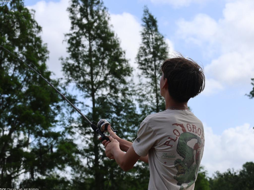 យុទ្ធសាស្ត្របាញ់ត្រីសម្រាប់អ្នកប្រើប្រាស់ថ្មី