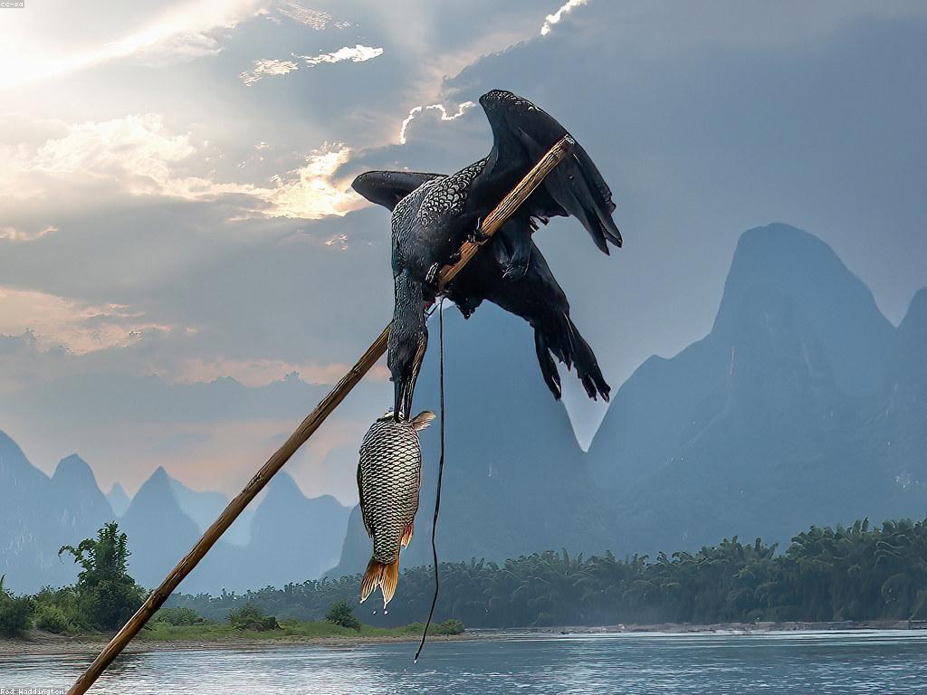 យុទ្ធសាស្ត្របាញ់ត្រី: បច្ចេកទេសជួយឲ្យឈ្នះបញ្ហានៅពេលបាញ់ត្រី