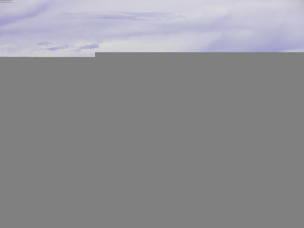 ការលេងហ្គេមត្រីសមុទ្រ: ការវិភាគអំពីការប្រកួតប្រជែងក្នុងទឹក