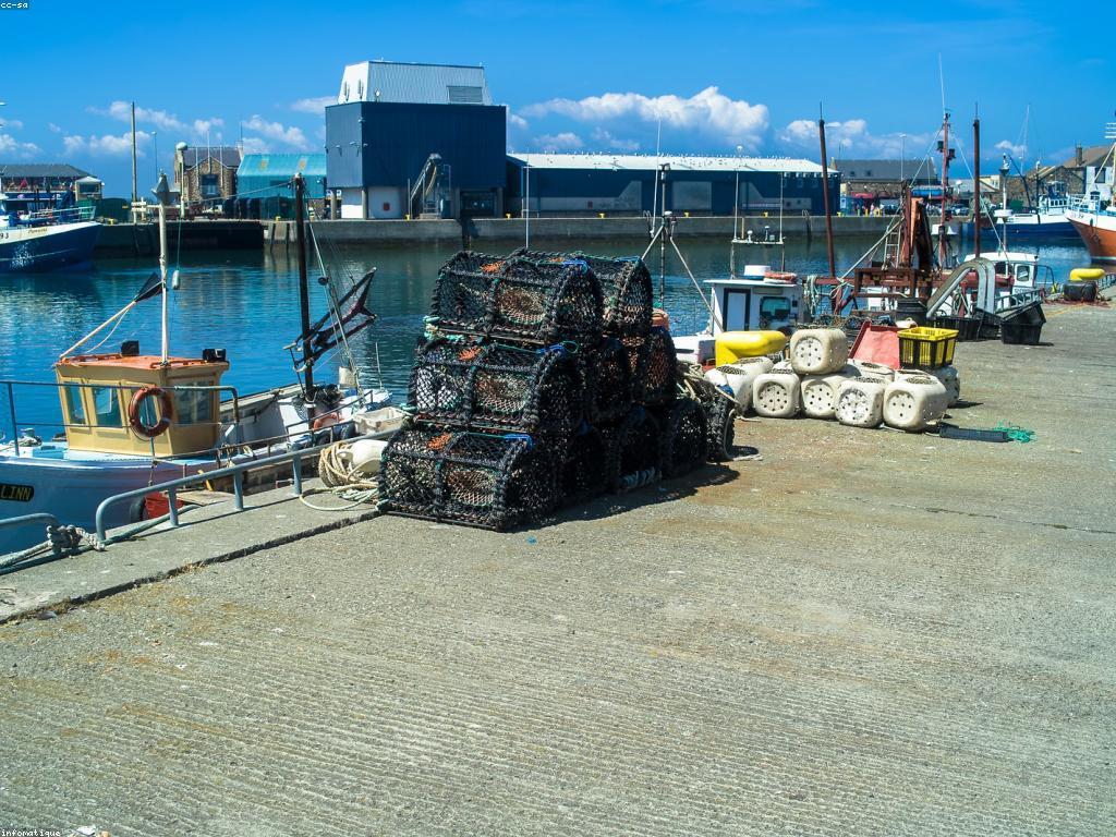 យុទ្ធសាស្ត្របាញ់ត្រី​និង​បច្ចេកទេស​នៅ​ក្នុង​ព្រៃ