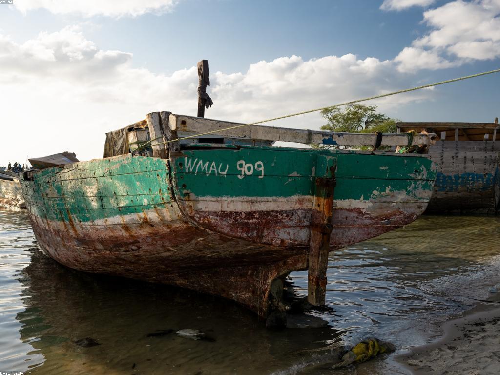 យុទ្ធសាស្ត្របាញ់ត្រី៖ ការប្រុងប្រយ័ត្ននិងការប្រើប្រាស់ឧបករណ៍នានា