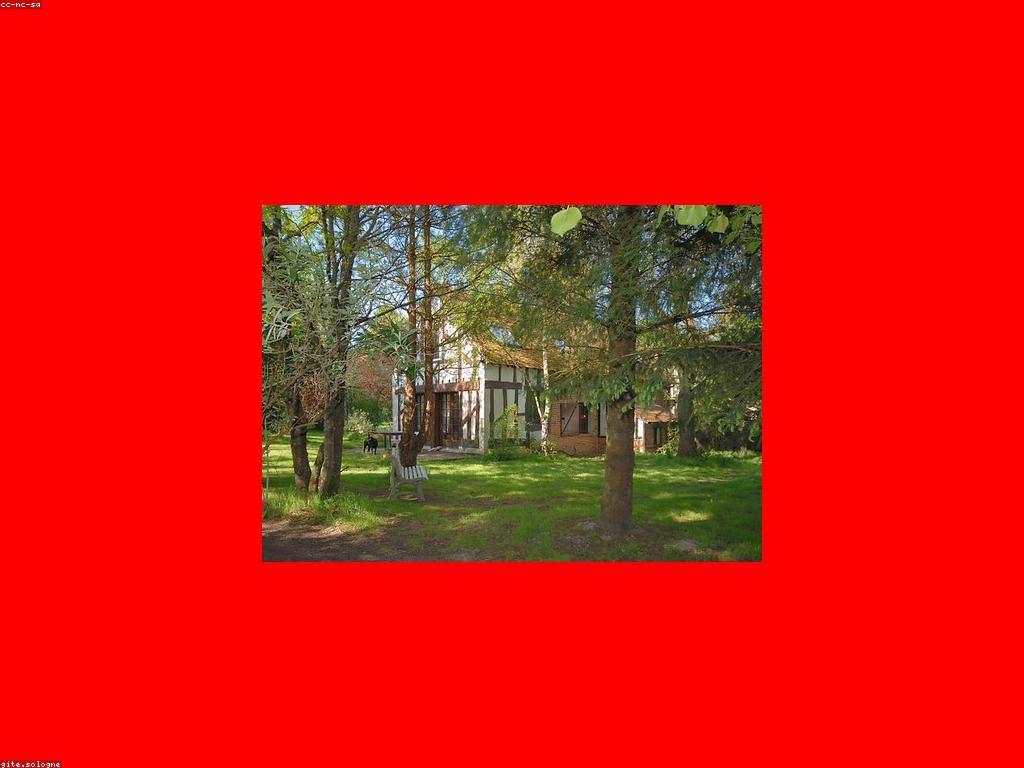 យុទ្ធសាស្ត្របាញ់ត្រីសម្រាប់ការអភិវឌ្ឍន៍ជំនាញ